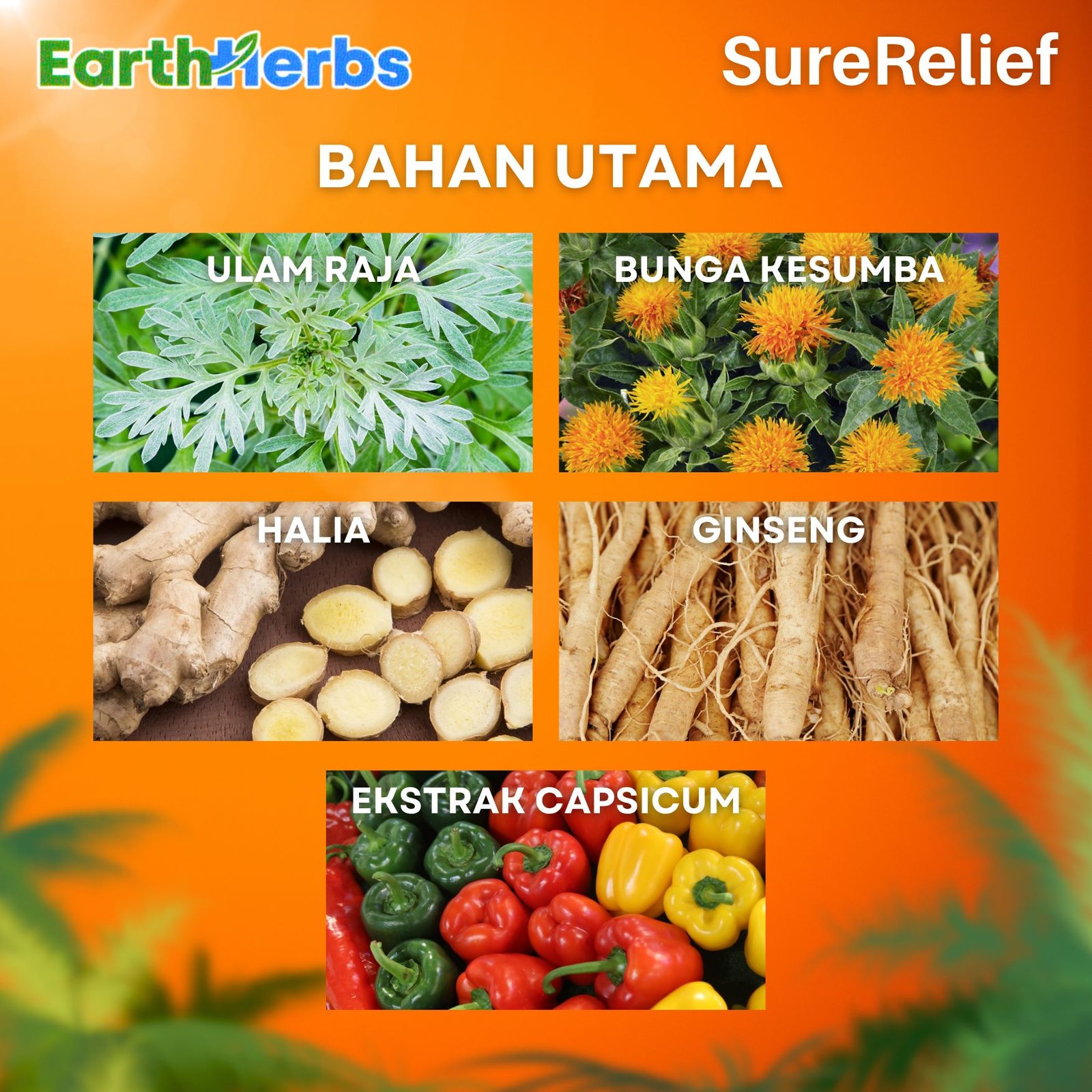 Bahan Utama SureRelief
